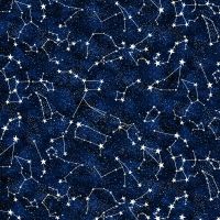 ttGAIL-CG2750 MIDNIGHT
